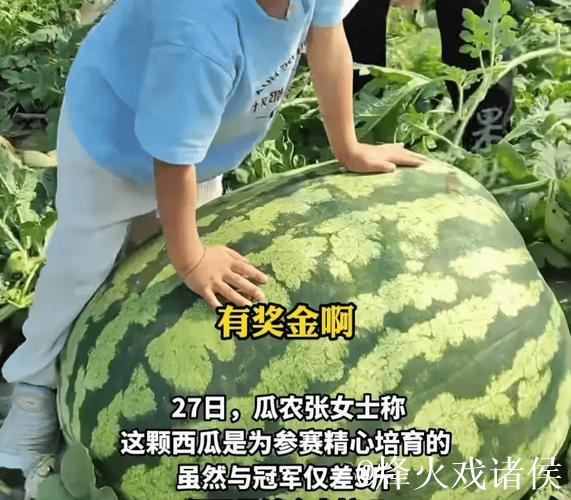 吃瓜网友必看今日最新超大瓜 吃瓜网友必看今日最新超大瓜