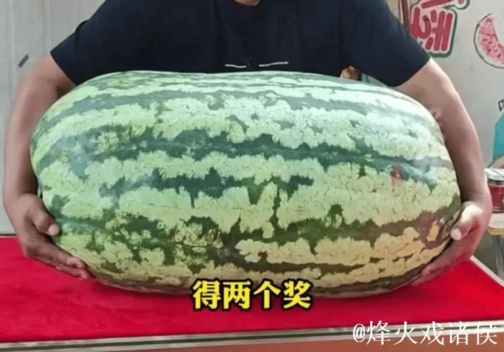 吃瓜网友必看今日最新超大瓜 吃瓜网友必看今日最新超大瓜